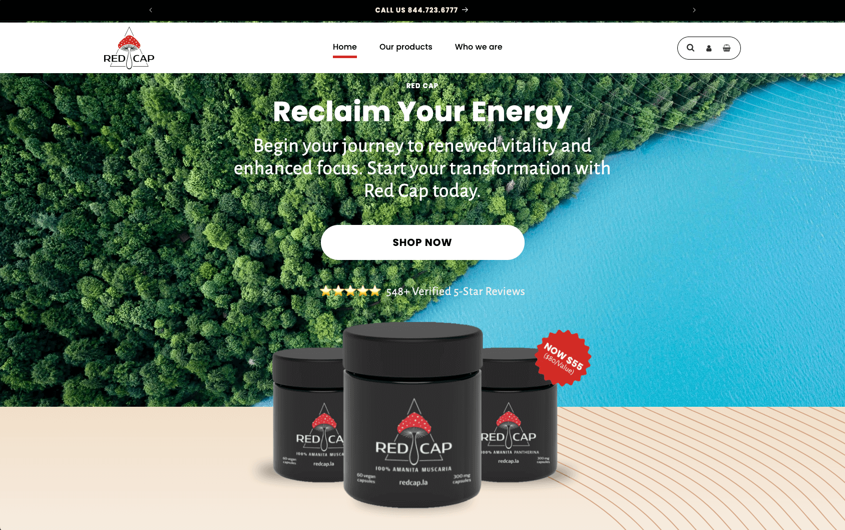 RedCap E-commerce